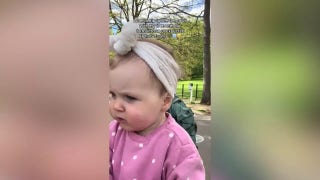 Tiny voice, big talent as baby nails 'The ABC Song' - Fox News