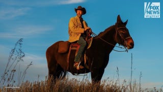 Tom Green left Hollywood for greener pastures - Fox News