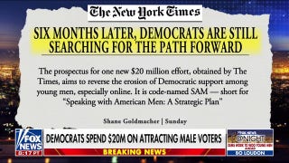 Democrats reportedly drop millions to attract male voters - Fox News