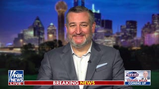 Left's reaction to Elon Musk reveals its hypocrisy, Ted Cruz says - Fox News
