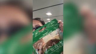 Flight passenger reveals how rotisserie chicken gives her 'first-class experience' - Fox News