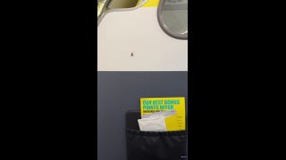 Passenger on plane sees 'roaches' crawling inside cabin on flight in Florida - Fox News