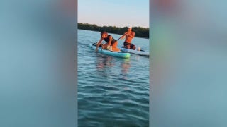 Woman rescues shark entangled in fishing line with her bare hands - Fox News