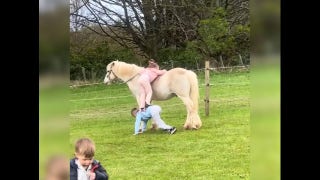 Big brother gives his little sister a big boost for her pony ride  - Fox News