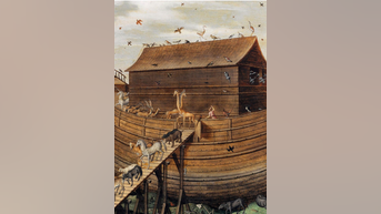 Noah's Ark evidence DISCOVERED - FOX 极速赛车168开奖官网开奖 News