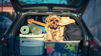 10 accessories that will help keep your car tidy on your next road trip